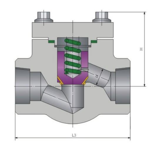 Class 800 Forged Steel Piston Check Valve